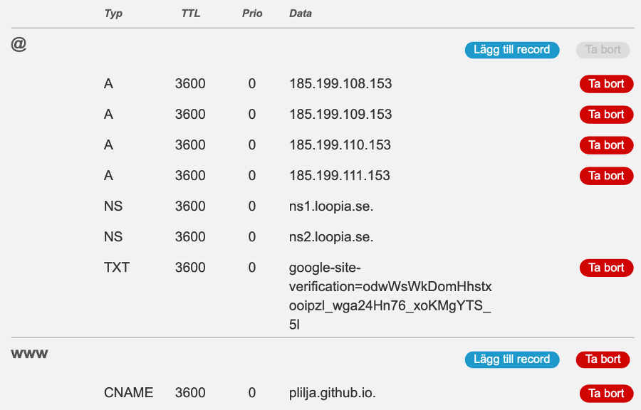 My DNS settings